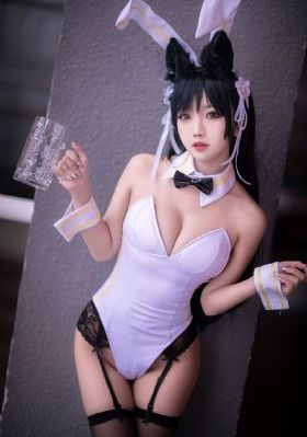 猫狗大战1在线国语免费观看_国产剧在线视频播放